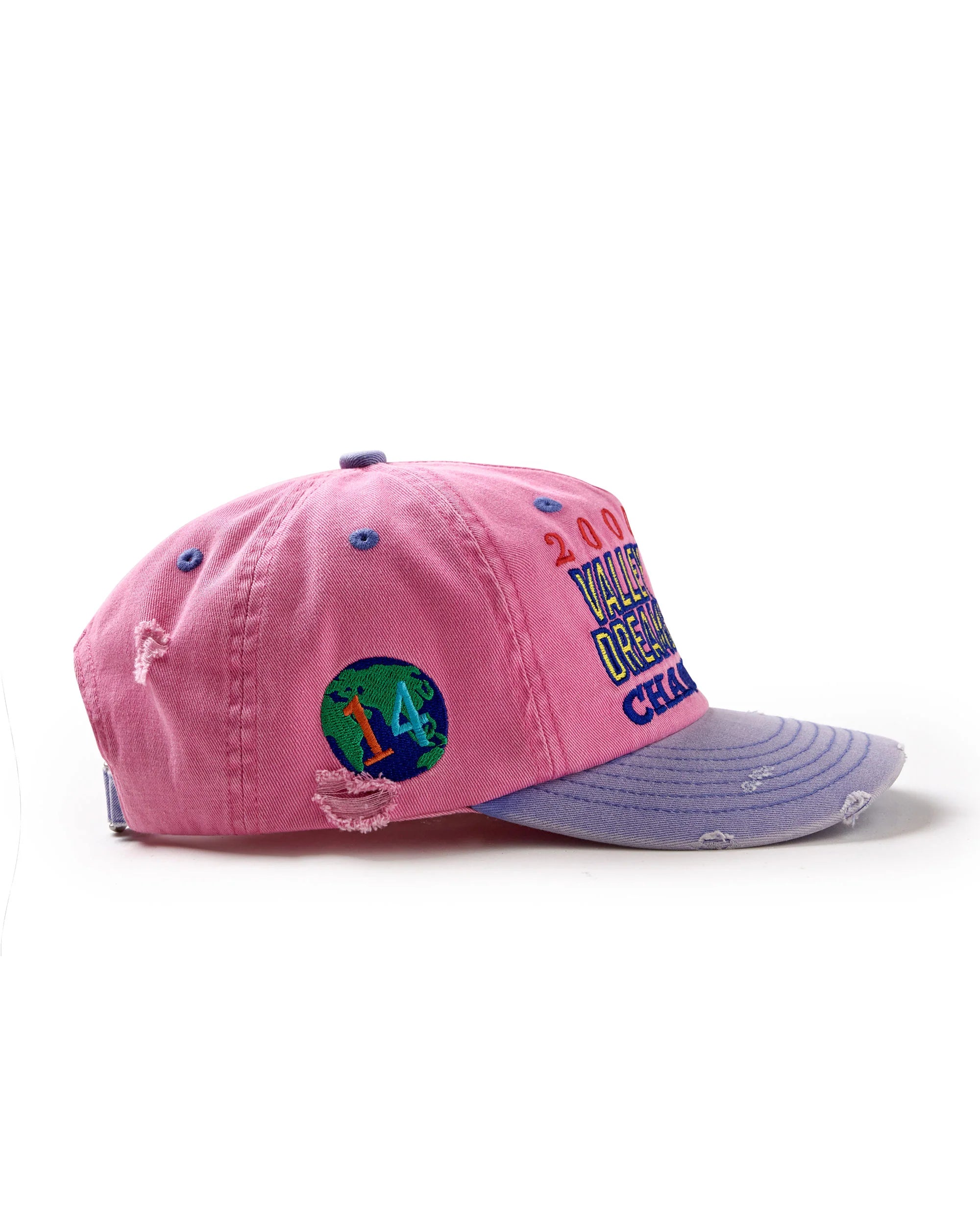 Vale Forever ‘Piggy Bank’ Cap