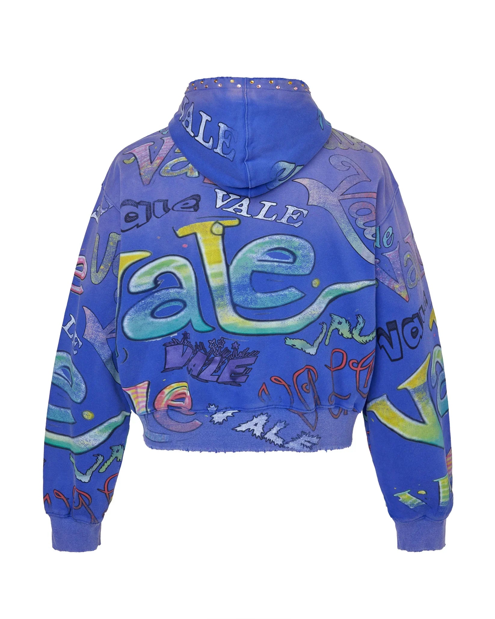 Vale Forever Iceberg Zip Up Hoodie (Blue)